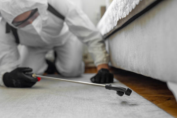 Professional Termite Control technician working in Avon, OH