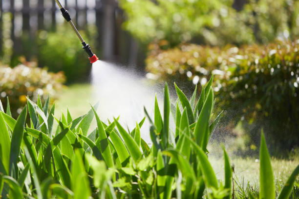 24/7 Emergency Termite Control experts in Avon, OH